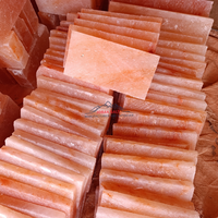 Briques de sel rose de l'Himalaya authentiques, sculptées à la main, écologiques, personnalisées, pour murs de sel rose, salles de spa, qualité supérieure