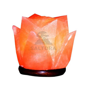 Lampe à sel 100% naturel en nouveau stock lampe à sel en forme de fleur meilleur prix lampe à sel en forme de fleur pour sel - Product Image 1