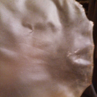 22 Inch White Deer Extra Thick Plus Size Vellum Goat Skin Natural Africa Drum Head with Deep Sound Healing