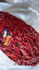 Piments rouges crus surgelés de qualité supérieure, cryopréservés, IQF, pour une excellence culinaire sans produits chimiques – Vente en gros - Product Image 4