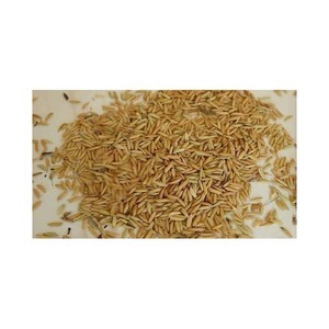 Arroz Basmati al vapor doble Extra Fluffy 1121 para restaurantes, unidades de catering y hoteles - Product Image 4