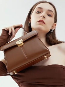 Nouveau design 2026 – Sac à main tendance pour femme, sac à bandoulière en cuir sous le bras, petit sac carré de qualité supérieure - Product Image 3