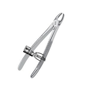 Pinces d'extraction pour enfants pour incisives supérieures Figure 37 Fabricants en acier inoxydable allemand de haute qualité - Product Image 1