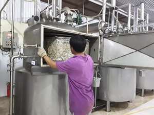 Chips de fruits et légumes non sucrés Commerce direct Chips de jackfruit frites sous vide Collations saines pour enfants et adultes Vegan Non OGM - Product Image 3