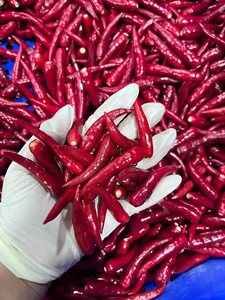 Piments rouges crus congelés de qualité supérieure, de qualité premium, congelés individuellement (IQF), pour une excellence culinaire, sans additifs. - Product Image 6