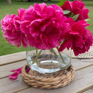 Prix de gros wraps pour tasses jacinthe d'eau couvercle en verre couleur naturelle verrerie porte-gobelet - Product Image 5