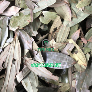 Daun kayu manis alami merupakan pilihan yang tepat untuk label OEM dalam kemasan ritel dan layanan makanan (WA +84914319488)