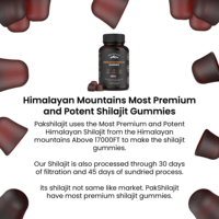 Shilajit himalayen naturel séché au soleil de qualité supérieure, liquide oral, améliore l'énergie, certifié qualité alimentaire et testé en laboratoire pour adultes