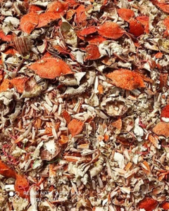 เปลือกปูคุณภาพสูงสำหรับการเกษตรแบบออร์แกนิก - Product Image 2