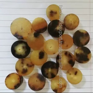 Boutons en corne naturelle de buffle spéciaux Boutons en corne de vache lavables en corne de boeuf avec décoration de paillettes pour vêtements Falak world Export - Product Image 2