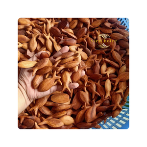 Meilleur choix : Décoration murale en bois en forme de poisson – Artisanat en bois écologique, couleur personnalisable, design moderne, pour Pâques et rentrée scolaire - Product Image 4