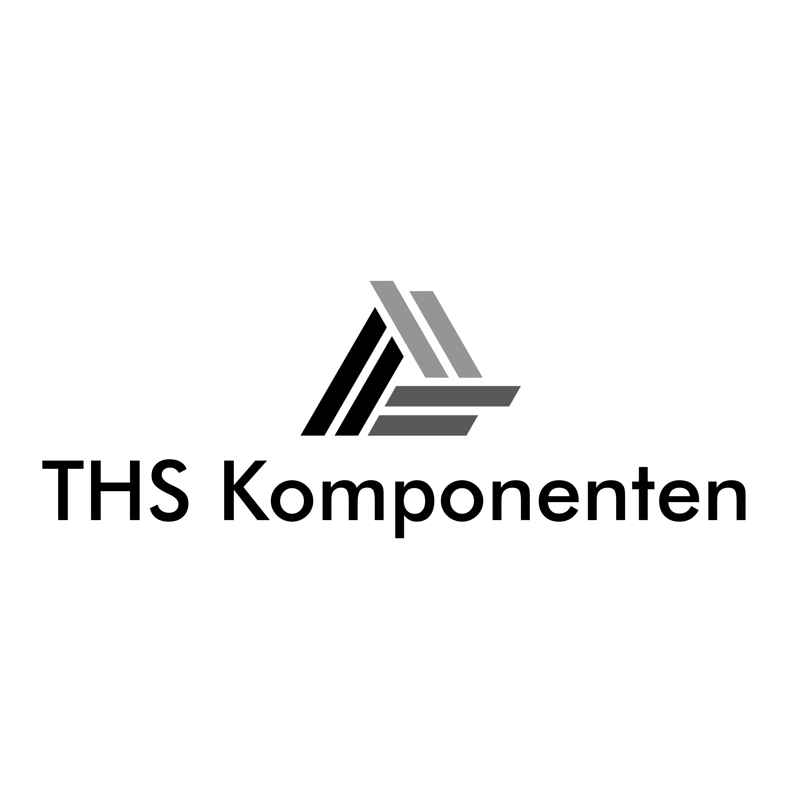 THS Komponenten GmbH logo
