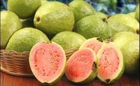 Mekong River Royal Pink Guava Bites Zachte Gedroogde Tropische Fruitselectie 100% Natuurlijk Vietnam