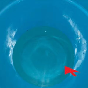 PRECAUCIONES personalizadas únicas QUE HACEN UN CUENCO DE RESINA TRANSPARENTE TRADICIÓN IGUAL para jardín Cocina Cuenco de servicio de resina transparente Único - Product Image 5