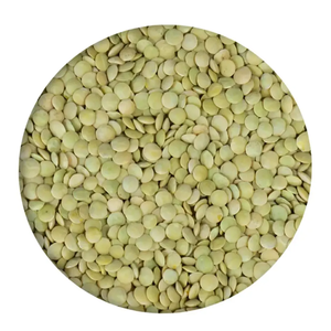 Lentilles vertes de haute qualité Lentilles rouges Lentilles brunes au prix de gros - Product Image 3