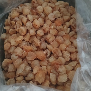 Dried Longan Vietnam Wholesale | Premium Organic Snack, Healthy Fruit Export, Bulk Supply - Product Image 5