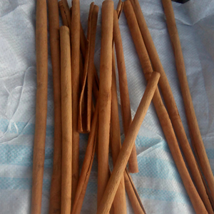 Tubes de cannelle de haute qualité du produit agricole d'exportation du Vietnam par le fournisseur de Bao Tram Anh - Product Image 1