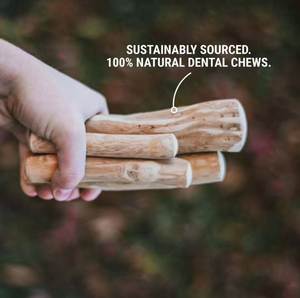Palitos de Madera Natural para Masticar para Perros de Todos los Tamaños, Juguete para Mascotas para Limpiar los Dientes, Patrón Sólido, Uso en Interiores, Sabor Original - Product Image 4