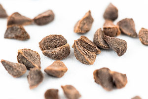 Dried Harmal | Eco Clean <b>Herb</b> | Herbal <b>Smoke</b> Ritual - Product Image 2