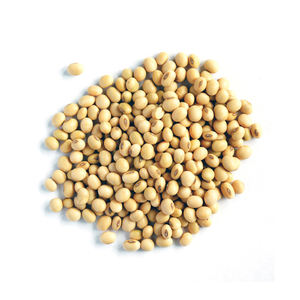 Soja disponible à la vente avec stockage à humidité contrôlée pour garantir la fraîcheur - Product Image 6