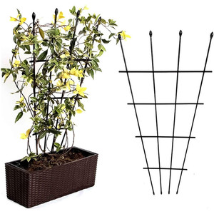 Lot de 2 grilles de soutien en forme d'éventail pour plantes en pot de jardin - Product Image 1
