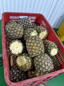 Des morceaux d'ananas congelés sucrés et juteux du Vietnam prêts pour la distribution mondiale à des prix compétitifs - Product Image 2