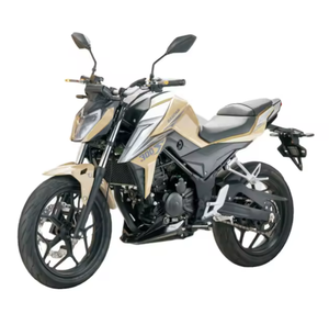 Motocicleta Todoterreno Nueva 100% a Gasolina, 300cc, de Dos Ruedas - Product Image 2