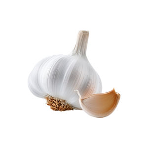 Ail frais biologique, légume de la famille des Liliacées, type de culture courant pour la cuisine et la transformation alimentaire - Product Image 2
