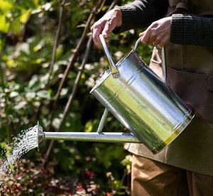 Regaderas Modernas y Elegantes de Acero de 1.5L, Ecológicas y Duraderas, Diseño Elegante de Home Craft Exports para Uso en Jardín/Hogar, Boquilla Delgada - Product Image 6