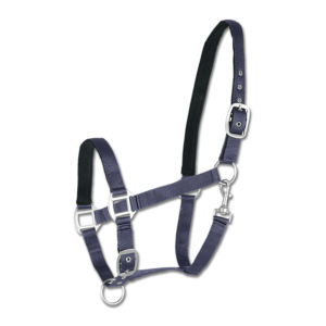 Licol de cheval rembourré en nylon solide avec boucles de quincaillerie Couleur et taille personnalisées Style de selle anglaise Sangle en PVC durable - Product Image 1