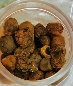 Vejiga de Buey Natural y Pura de Alta Calidad, Vejiga de Ganado, Vejiga de Vaca, Comprar Vejiga de Vaca en Venta - Product Image 4