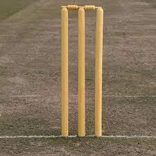 อุปกรณ์คริกเก็ตไม้คุณภาพสูง RX Sports SK453 แบบปรับแต่งได้ พร้อมโลโก้ สี และดีไซน์ตามสั่ง - Product Image 6
