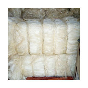 Fibra de sisal natural sin procesar para compradores a granel y mayoristas de todo el mundo. - Product Image 4