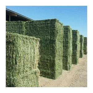 Heno/Alfalfa Natural, pureza del 100% - Product Image 1