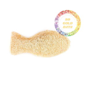 100% Esponja Natural Loofah 10cm | Esponja de limpieza Luffa ecológica orgánica con cuerda | Loofah cruda de alta calidad de Vietnam - Product Image 4