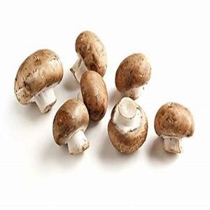 Champignons frais congelés prêts à exporter à vendre à bas prix - Product Image 6