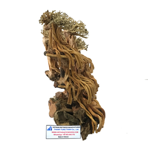 Bonsaï en bois flotté fait main, best-seller, décoration d'aquarium, forme irrégulière, pour aquarium en acier inoxydable, fabriqué au Vietnam - Product Image 6