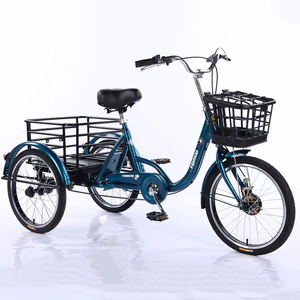 Pedal humano Triciclo de carga para adultos OEM Ancianos Ocio Rickshaw Triciclos Bicicleta 3 Ruedas <span class=keywords><strong>Tribike</strong></span> con cesta trasera - Product Image 4