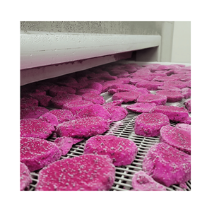 ก้อนมังกรแช่แข็งจากเวียดนาม เนื้อสีแดงธรรมชาติ ผลไม้เมืองร้อนสำหรับร้านสมูทตี้ ท็อปปิ้งของหวาน และบาร์ค็อกเทล - Product Image 5