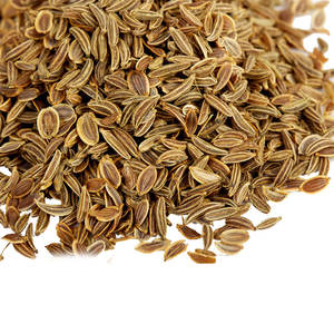 ผักชีฝรั่ง | สมุนไพรทำอาหารจากธรรมชาติสำหรับตลาดต่างประเทศ - Product Image 1