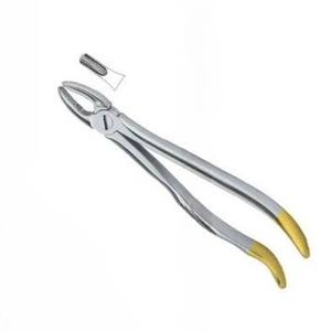 คีมถอนฟัน Fig.1พร้อมทองสแตนเลสสตีลเครื่องมือทันตกรรม - Product Image 3