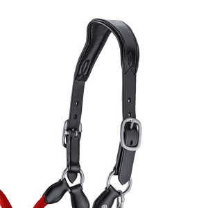 สายจูงม้าคุณภาพสูงระดับมืออาชีพ ทำจากสแตนเลสและหนัง ขายส่งราคาพิเศษ ปี 2024 - Product Image 4