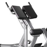 Chaise romaine élégante et personnalisable pour l'entraînement physique à domicile - Bancs et supports d'exercice