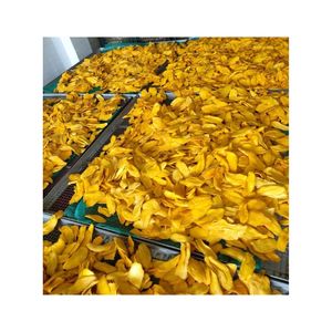 ในมะม่วงอบแห้งที่มีความต้องการสูง: ส่วนผสมอเนกประสงค์สำหรับสูตรอาหารและแหล่งที่อุดมไปด้วยสารต้านอนุมูลอิสระ - Product Image 6