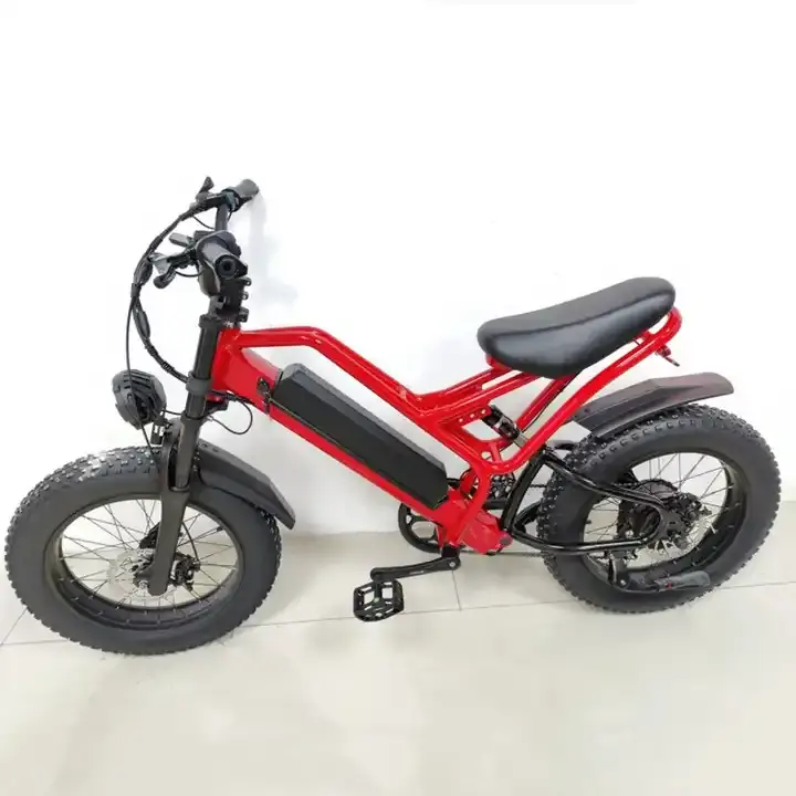 2023 Hot Sale SMRLO Factory 20 Inch Electric Bike 500W 48V Retro Electric Bicycle For Adults Fat Tire Off-Road Ebike