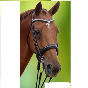 Brida de caballo de alta calidad a bajo precio, venta al por mayor, brida de caballo de cuero indio Real resistente negra a la venta, fabricante - Product Image 4