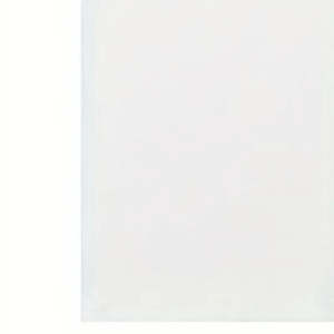 เสื้อยืดผู้ชายผ้าคอตตอนพรีเมียม 100% ระบายอากาศได้ดี พิมพ์โลโก้ตามสั่ง แห้งเร็ว เป็นมิตรกับสิ่งแวดล้อม บริการ OEM แบบกำหนดเอง - Product Image 4