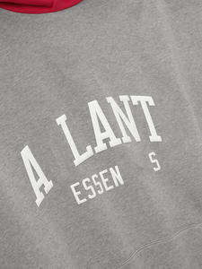 Nouveau sweat à capuche essentiel surdimensionné pour hommes 100% coton doux 350gsm tissu de haute qualité avec logo et broderie personnalisés - Product Image 6