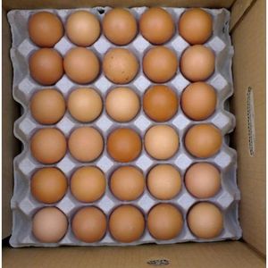 ขายไข่ไก่สดขายร้อน - Product Image 5