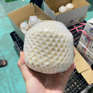 Coco tierno de corte Diamante de Vietnam Premium Trim Agua dulce refrescante y nutritiva Ideal para venta al por menor y al por mayor - Product Image 1